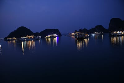DSC_7339.JPG