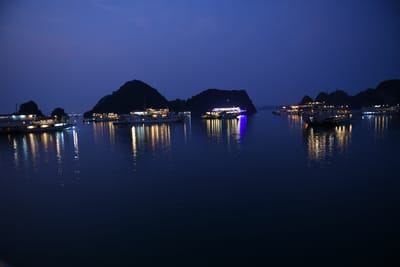 DSC_7341.JPG