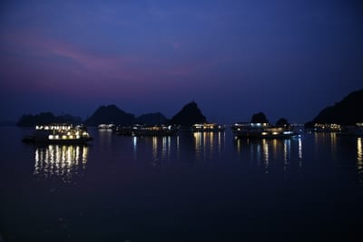 DSC_7342.JPG