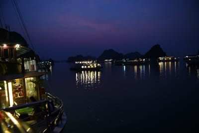 DSC_7343.JPG