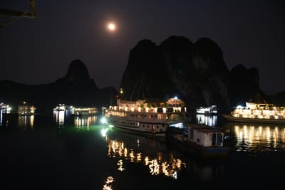 DSC_7390.JPG