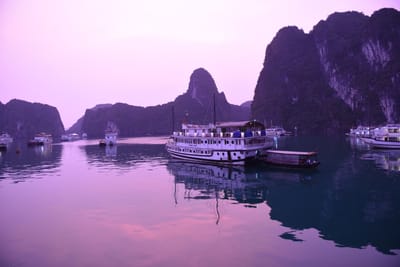 DSC_7393.JPG