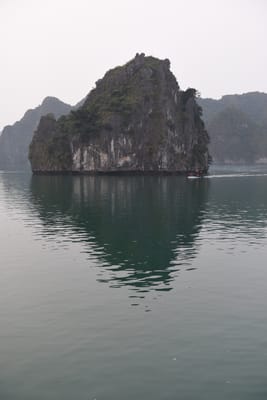 DSC_7419.JPG