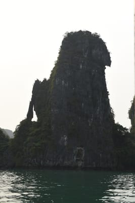 DSC_7423.JPG