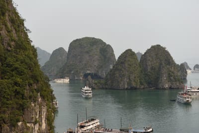 DSC_7449.JPG
