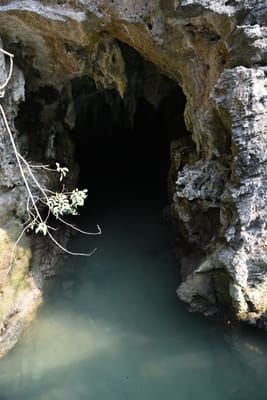 DSC_7452.JPG