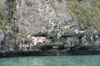 DSC_7454.JPG