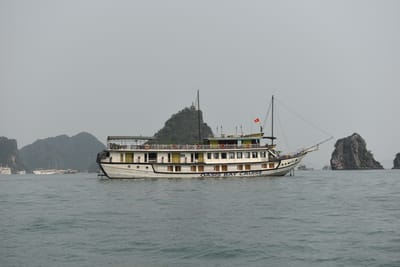 DSC_7456.JPG