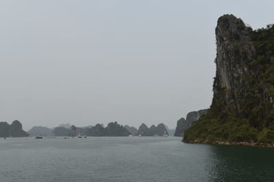 DSC_7461.JPG