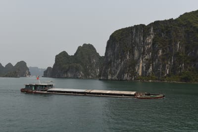 DSC_7487.JPG