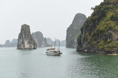 DSC_7556.JPG