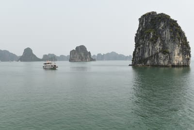 DSC_7558.JPG