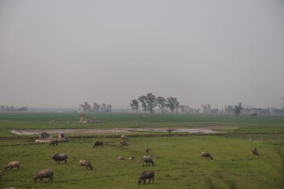 DSC_7573.JPG