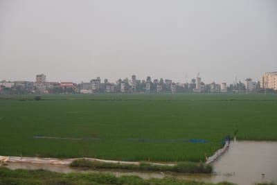 DSC_7574.JPG