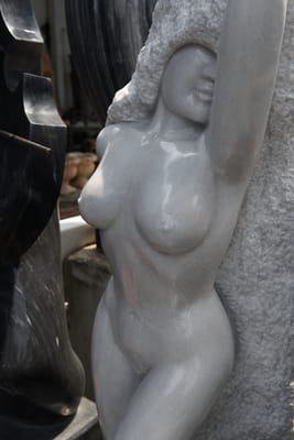 DSC_7641.JPG