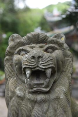 DSC_7672.JPG