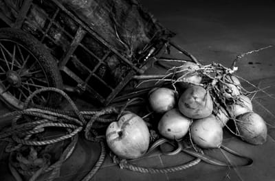 DSC_7741bw.jpg
