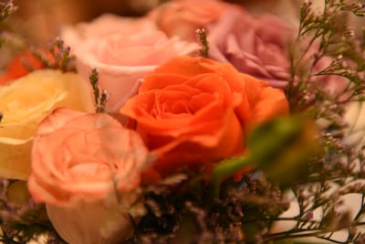 DSC_7796.JPG