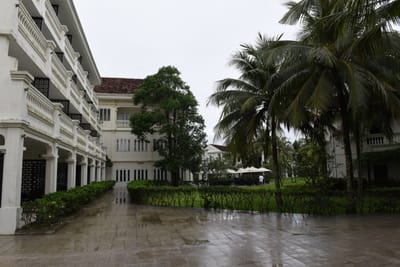 DSC_7808.JPG