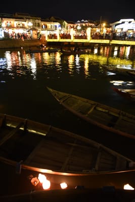 DSC_7900.JPG