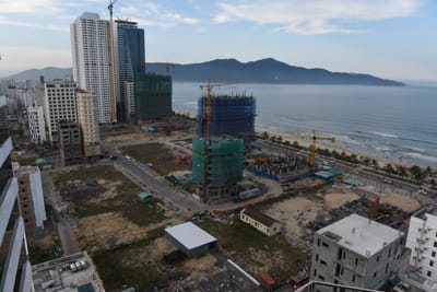 DSC_7913.JPG