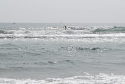 DSC_7934.JPG