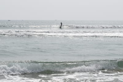 DSC_7935.JPG