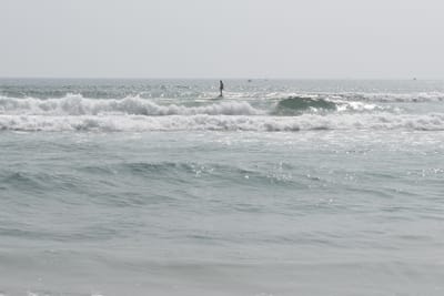 DSC_7936.JPG