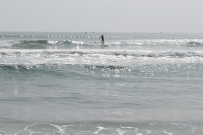 DSC_7937.JPG