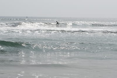 DSC_7938.JPG