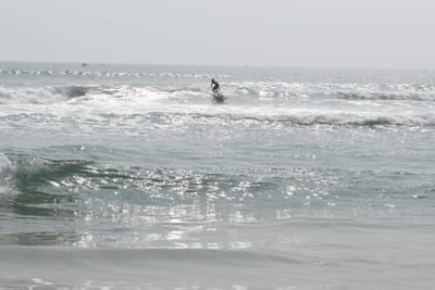 DSC_7939.JPG