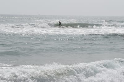 DSC_7940.JPG