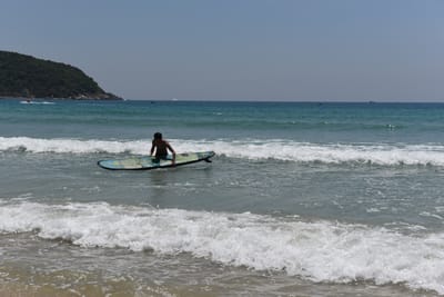 DSC_7981.JPG