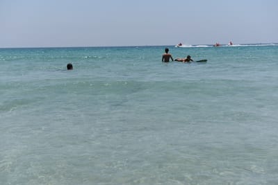 DSC_7991.JPG