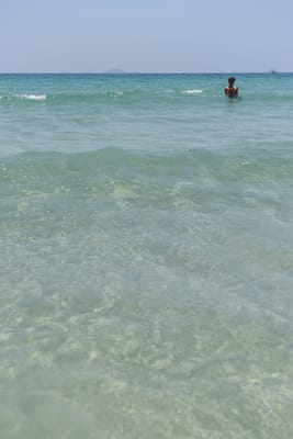 DSC_8064.JPG