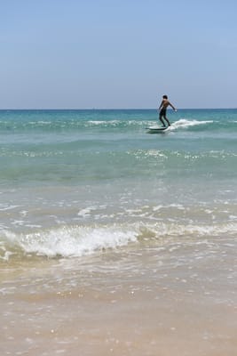 DSC_8071.JPG