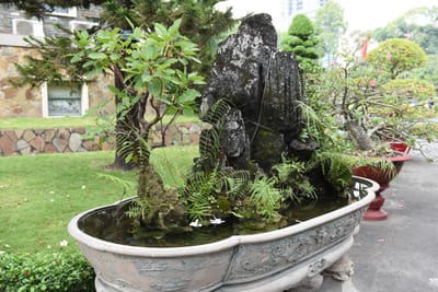 DSC_8180.JPG