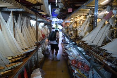 DSC_8242.JPG