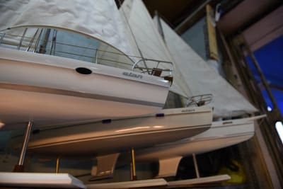 DSC_8244.JPG