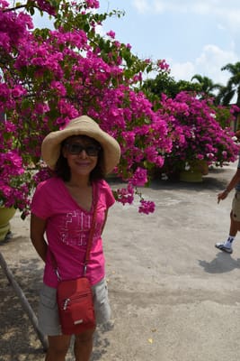 DSC_8327.JPG