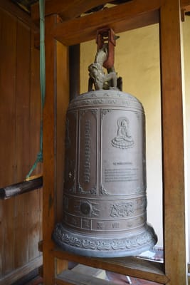 DSC_8338.JPG
