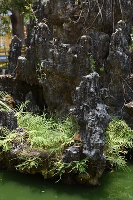 DSC_8349.JPG