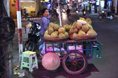 DSC_8975.JPG