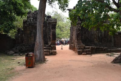 DSC_9510.JPG
