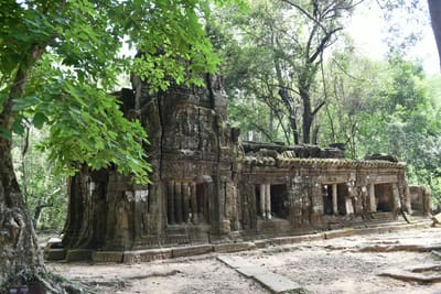 DSC_9511.JPG