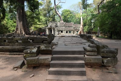 DSC_9514.JPG