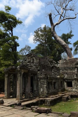 DSC_9519.JPG