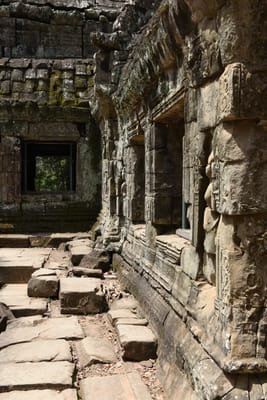 DSC_9523.JPG