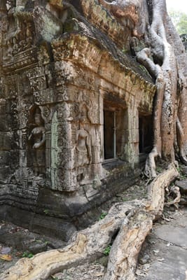 DSC_9525.JPG