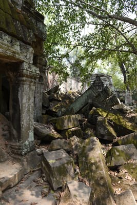DSC_9531.JPG